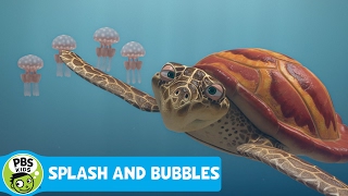 SPLASH AND BUBBLES  One Big Ocean Song  PBS KIDS [upl. by Ferretti]