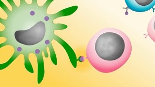 Tumour immunology and immunotherapy [upl. by Assirram]