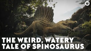 What Did The Spinosaurus REALLY Look Like [upl. by Bowler]