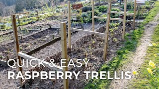 Quick amp Easy DIY Raspberry Trellis [upl. by Daphna]