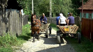 Romania Village Life in Transylvania [upl. by Olivier43]