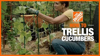 How to Trellis Cucumbers  Edible Gardening  The Home Depot [upl. by Marquez813]