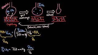 What is Mechanical Ventilation  Ventilators EXPLAINED [upl. by Anilra]