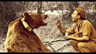 Wojtek The Soldier Bear Children’s Story [upl. by Anilak]