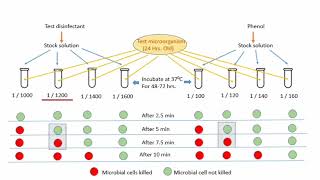 Evaluation of Disinfectants [upl. by Ahsiatal]