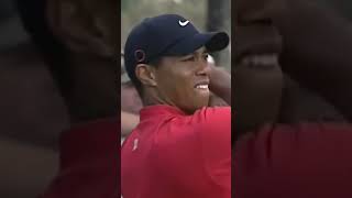 REMATCH Tiger Woods vs Ernie Els [upl. by Tenay]