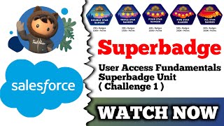 User Access Fundamentals Superbadge Unit  Salesforce Trailhead  Challenge 1 [upl. by Saw]