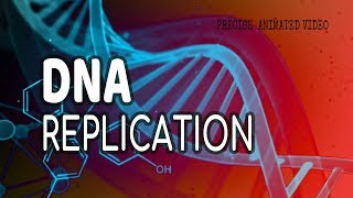 DNA Replication  Helicase  leading strand  Lagging strand  Okazaki fragments [upl. by Mignonne]