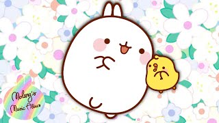 Molang  Best of Best Songs  🎵💃  More MolangCartoon ⬇️ ⬇️ ⬇️ [upl. by Lombardi]