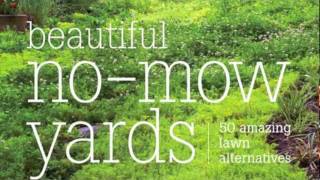 Beautiful NoMow Yards 50 Amazing Lawn Alternatives [upl. by Atsedom]