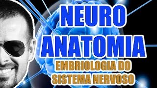 Embriologia do Sistema Nervoso Central e Periférico  Neuroanatomia  VideoAula 069 [upl. by Ahsiadal]