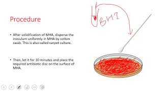 Classification of Bacteria Antibiotics  Lecture 1 [upl. by Llenehs480]