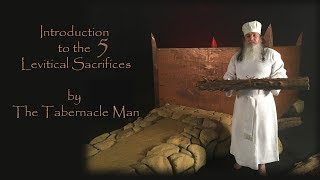 Tabernacle of Moses Introduction to the 5 Levitical Sacrifices Dr Terry Harman The Tabernacle Man [upl. by Yerroc863]