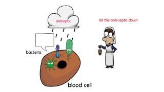 antiseptic vs disinfectant [upl. by Mcnully]