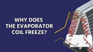 Why Does The Evaporator Coil Freeze And How to Diagnose It [upl. by Monia]