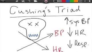 Cushings Triad  ICP  EMTprepcom [upl. by Noeled]