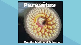 ParasitesSymbiotic Relationships [upl. by Cristabel]