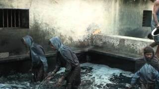 Indigo Dye Extraction [upl. by Itteb]