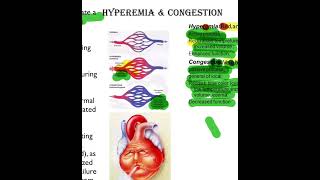 Pathology Hemodynamic disorders 8B [upl. by Iznek]