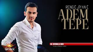 Adem Tepe  Desmala Min Official Audio [upl. by Mufi]