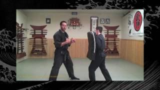 Taijutsu BujinkanNinjutsu Lesson  Ninja Training Video Lesson [upl. by Ioves]