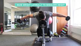 How To Do Dumbbell Lying Rear Lateral Raise  Exercise Demo [upl. by Adnaloy]