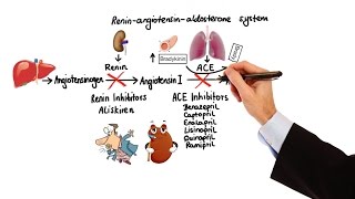 Pharmacology  HYPERTENSION amp ANTIHYPERTENSIVES MADE EASY [upl. by Sebastien524]