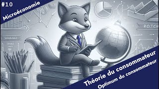 Microéconomie  Théorie du consommateur 10  Choix du consommateur [upl. by Velasco]