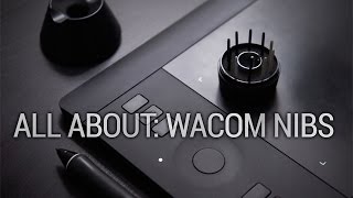 All About Wacom Stylus Nibs [upl. by Natsyrk]