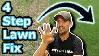 Beginner Lawn Care Tips  How To Improve Your Lawn in 4 Easy Steps  Lawn Motivation [upl. by Cheryl]