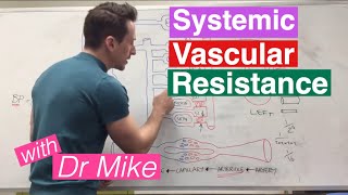 Systemic Vascular Resistance Total Peripheral Resistance  Cardiology [upl. by Bork]