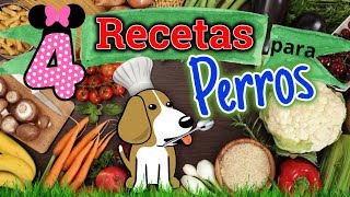 4★COMIDAS CASERAS PARA PERROS★BARATAS Y FACILES Coton de tulear I Lorentix [upl. by Zedekiah]