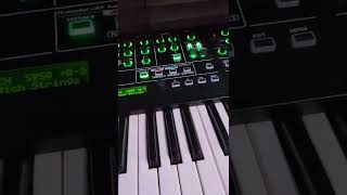 Chord Memory on the Roland System8 Pacific 707  808 State Recreation [upl. by Spark]