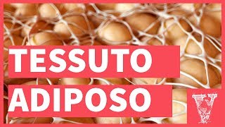 Tessuto adiposo dalla fisiologia al dimagrimento [upl. by Ennahgiel]