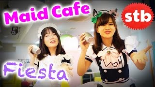 Maidreamin Maid Cafe FIESTA in Akihabara Tokyo Japan featuring Wheres Stu [upl. by Dreeda]