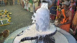 Maha shivratri Sri Rudra Abhishekam Mantra  Powerful For Good Health amp Protection Against Enemies [upl. by Cull593]