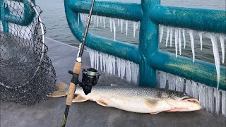 Saginaw Bay LAKE TROUT Fishing  Lake Huron Pier Casting  Caseville Michigan [upl. by Eseer]