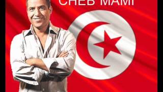 Cheb Mami  galbi galbi  NOUVEL ALBUM 2014 [upl. by Euqinmod]