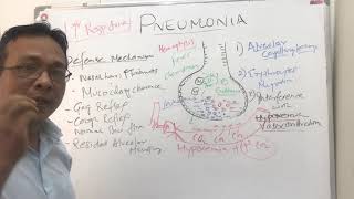 Pneumoniapathophysiology [upl. by Gracia]