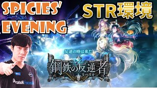 【Spicies Evening】スペルウィッチ【シャドバShadowverse】 [upl. by Aneela200]