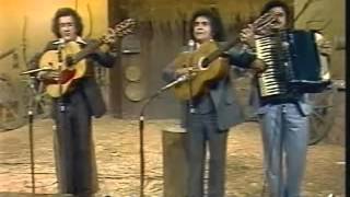 Trio Parada Dura  Homem de Pedra Programa Viola Minha Viola  1980 [upl. by Otir]