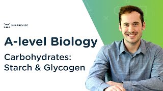 Carbohydrates Starch and Glycogen  Alevel Biology  OCR AQA Edexcel [upl. by Savill]