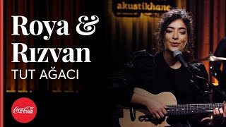 Roya amp Rızvan  Tut Ağacı  Akustikhane hissethezzal [upl. by Agathy]