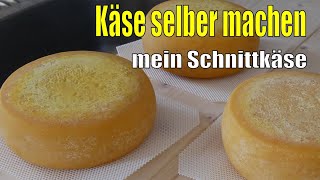 Käse selber machen  Mein Schnittkäse [upl. by Obelia]