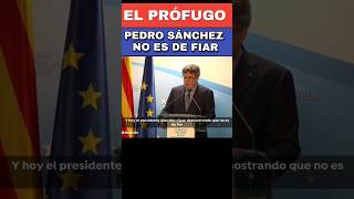 PUIGDEMONT A SÁNCHEZ [upl. by Werdn]