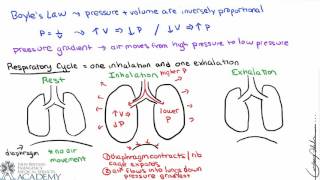 Ventilator alarms  BMJ Learning [upl. by Adaliah491]