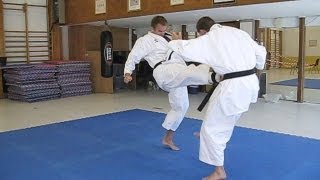 KARATE  Tiger Karate  Shotokan and mix of martial arts [upl. by Meyer]