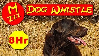 Silent Dog Whistle  Random Whistle Sounds Only Dogs Can Hear  How to Stop Dogs Barking [upl. by Tingey985]