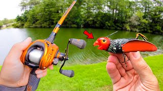 Fishing w a BIRD in SMALL Ponds IT WORKED [upl. by Blase]