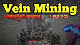 Minecraft 1165  Vein Mining mod [upl. by Islek]